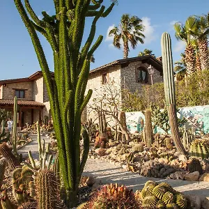 https://botanical-park-garden-cactus.sicilyhotelsitaly.net